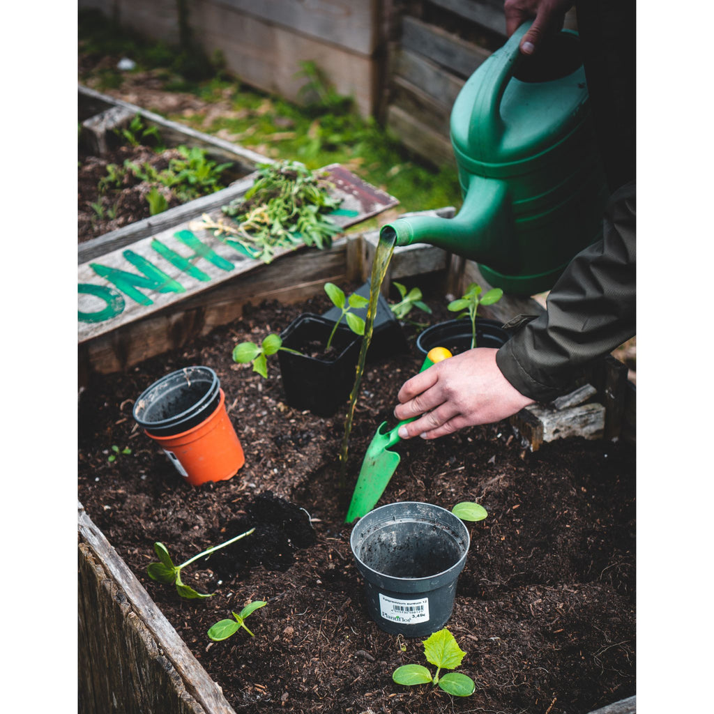 National Gardening Day