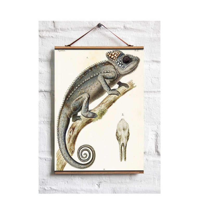 A wall hanging fabric print scroll featuring an illustrated chameleon on a wooden scroll background, displayed against a white brick wall.