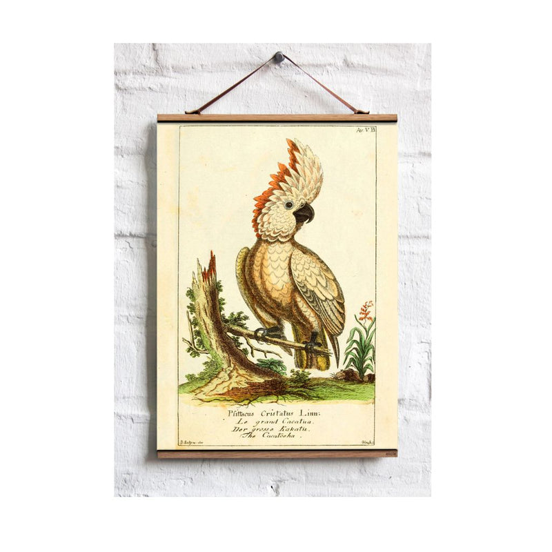 A wall hanging fabric print scroll featuring an illustrated parrot on a branch, set against a beige background.