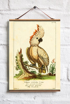 Parrot Wall Hanging Fabric Print Scroll