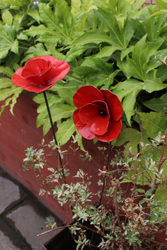 Poppy Flower Recycled Metal 2 poppies side view