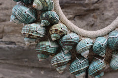 Detail of the shells