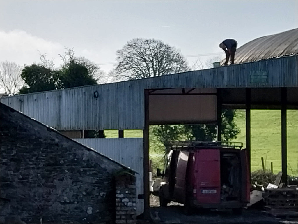 The House With The Yellow Windows