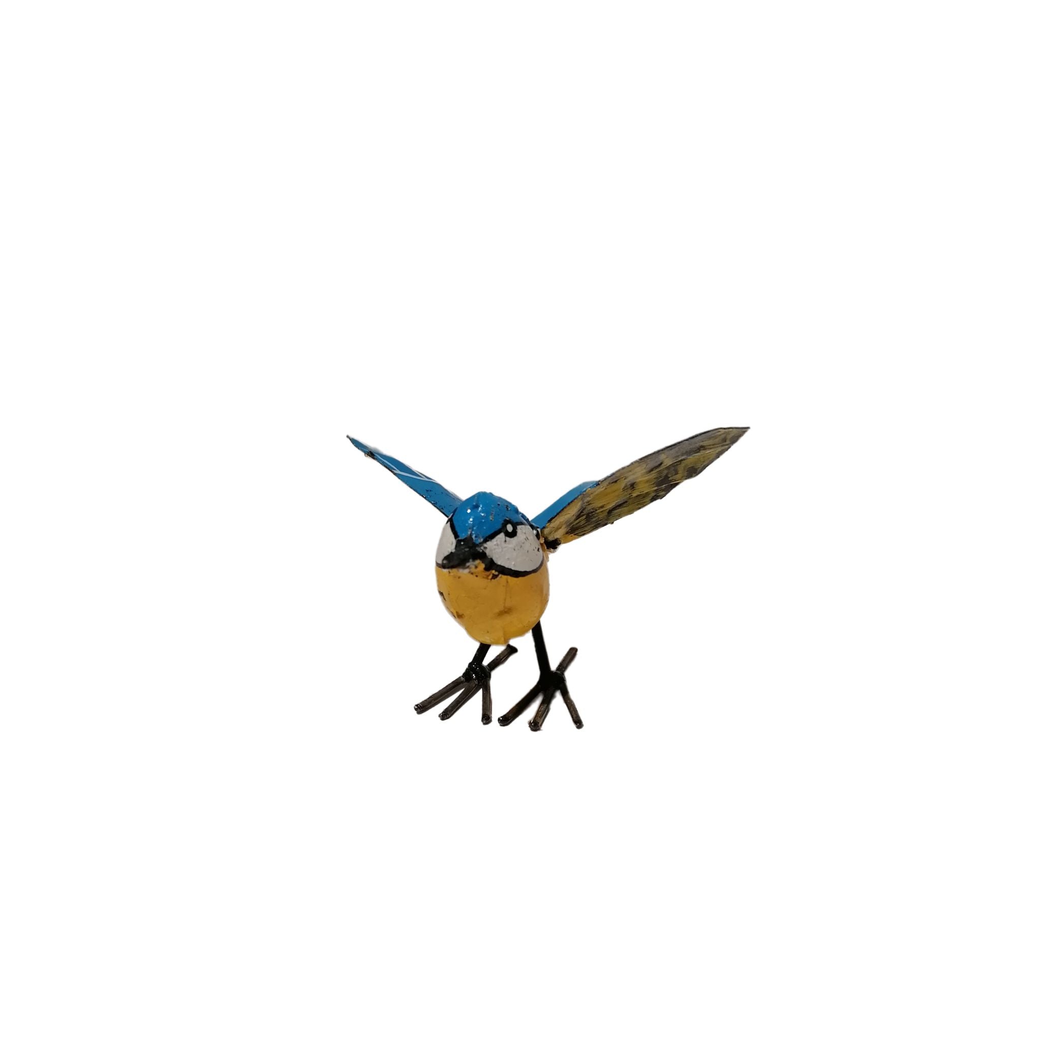 Bluetit Bird Wings Open Front view 