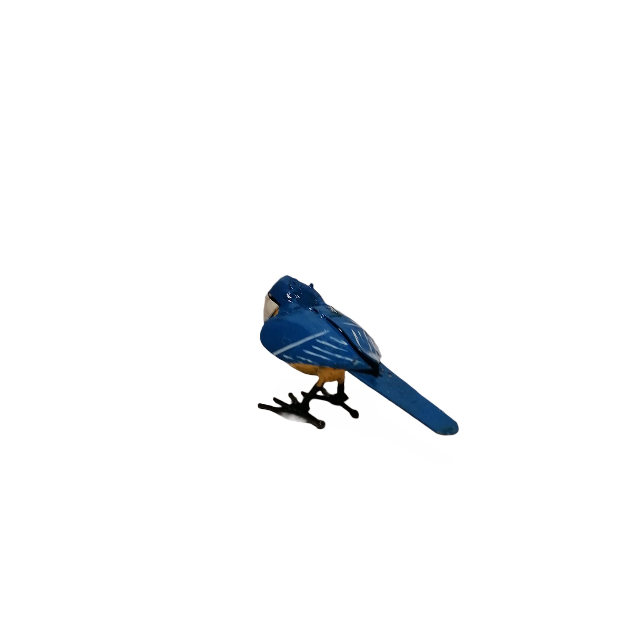 Bluetit Bird
