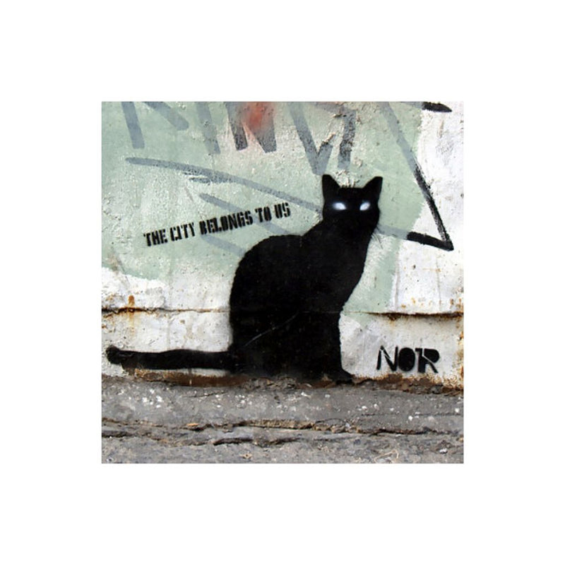 City Cat Canvas Print