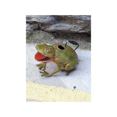 Vintage metal handpainted watercan in the shape of a frog