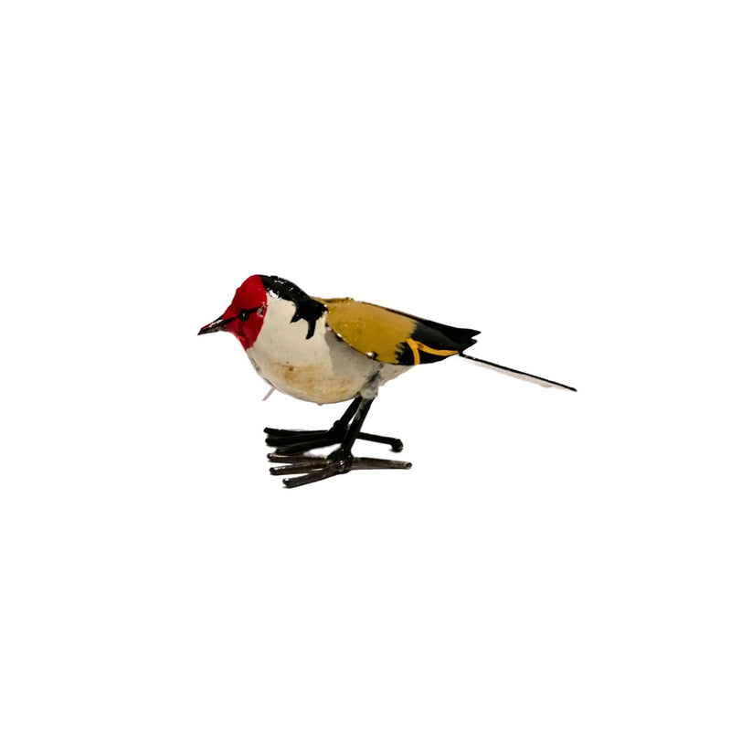 Goldfinch Bird Side view 