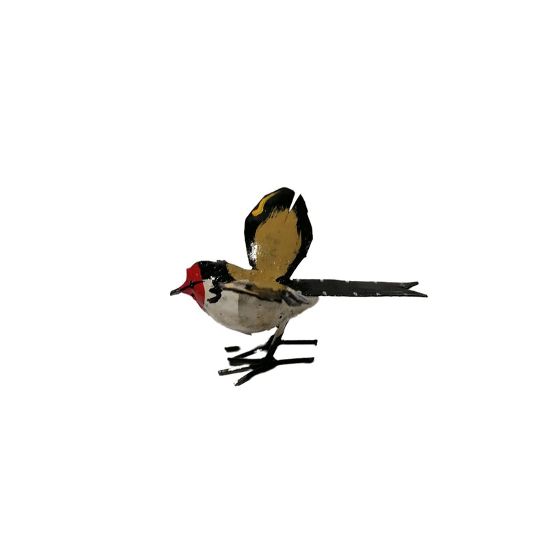 Goldfinch Bird Wings Open