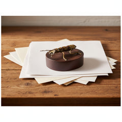 Insect Curiosity Paperweight