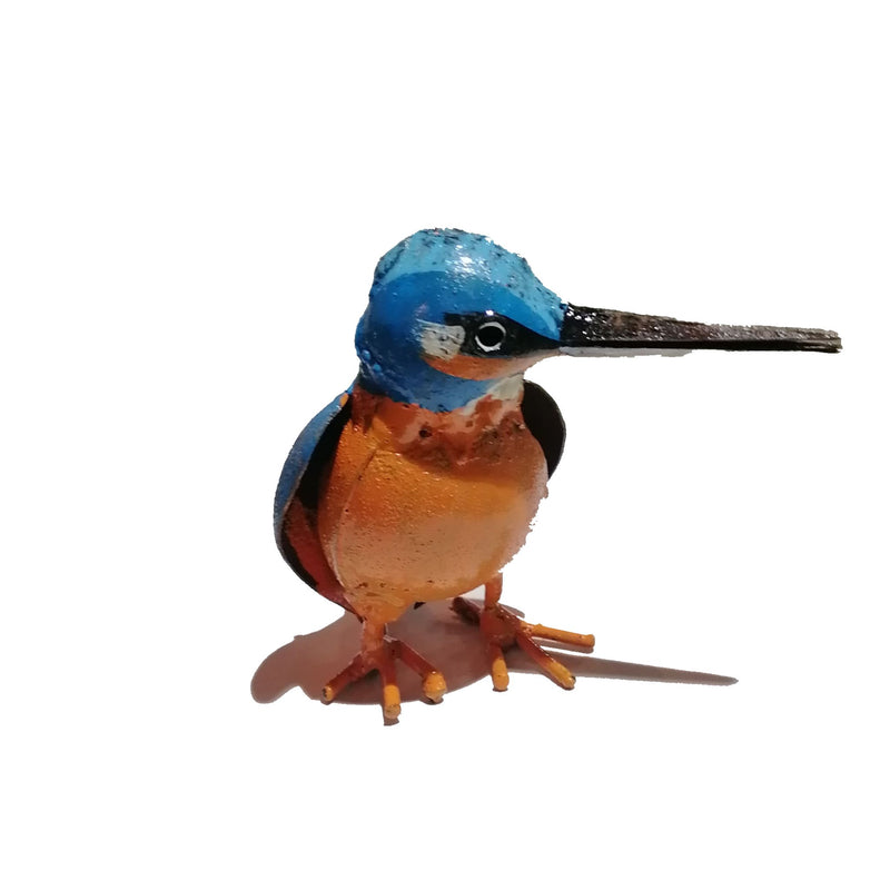 Kingfisher Small side view