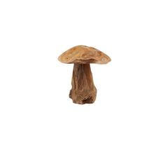 Wooden mushroom made of teak root natural