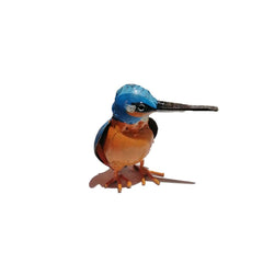 Kingfisher Small