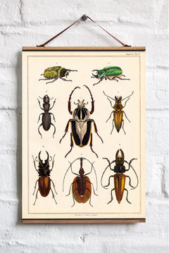 Beetles Wall Hanging Fabric Print Scroll