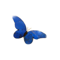 Blue butterfly on a white background