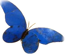 Medium Recycled Metal Art Butterfly