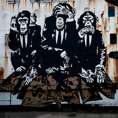 3 Monkeys Canvas Print