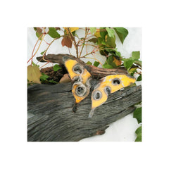 Butterfly with yellow and black wings on a branch with leaves and snow in the background