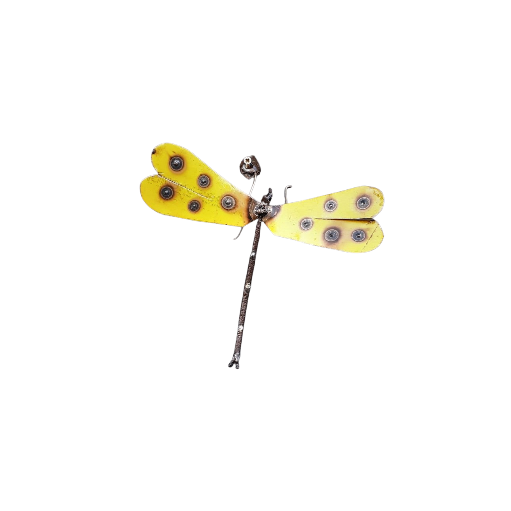 Yellow Metal Dragonfly Front View 