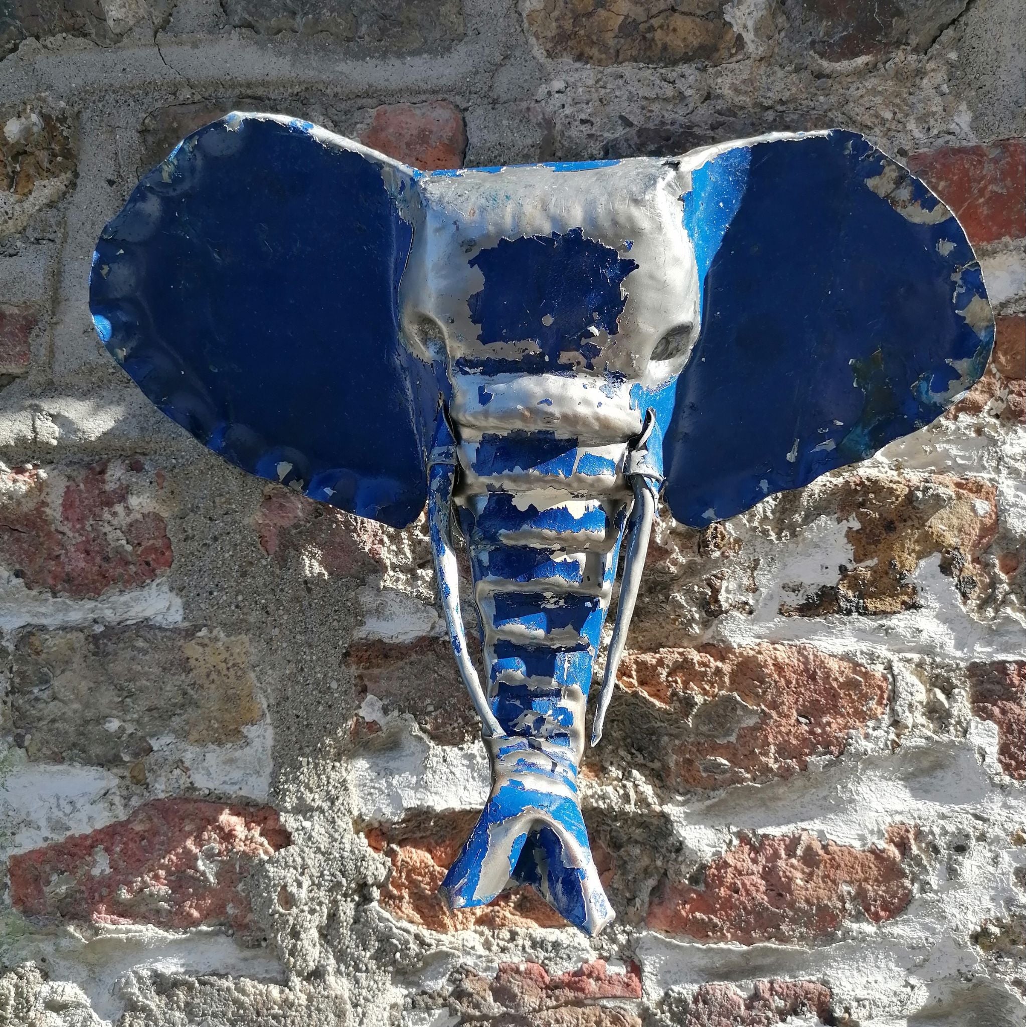 Dark Blue Elephant head front view outside wall 