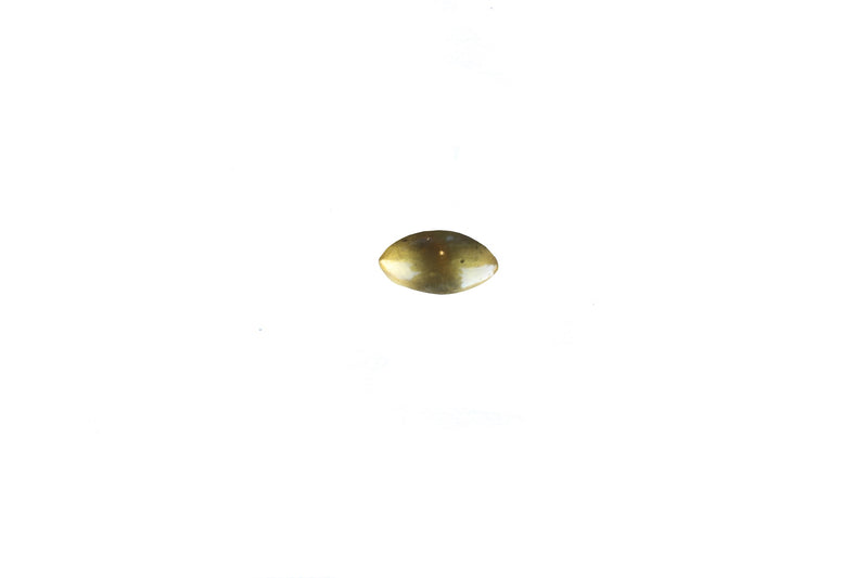 Oval Brass Knob