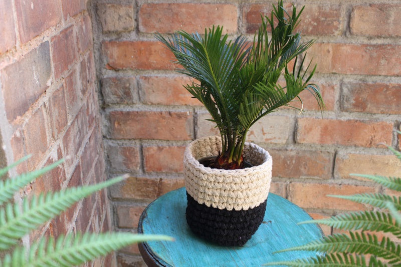 Cotton black and white planter outside with plant inside