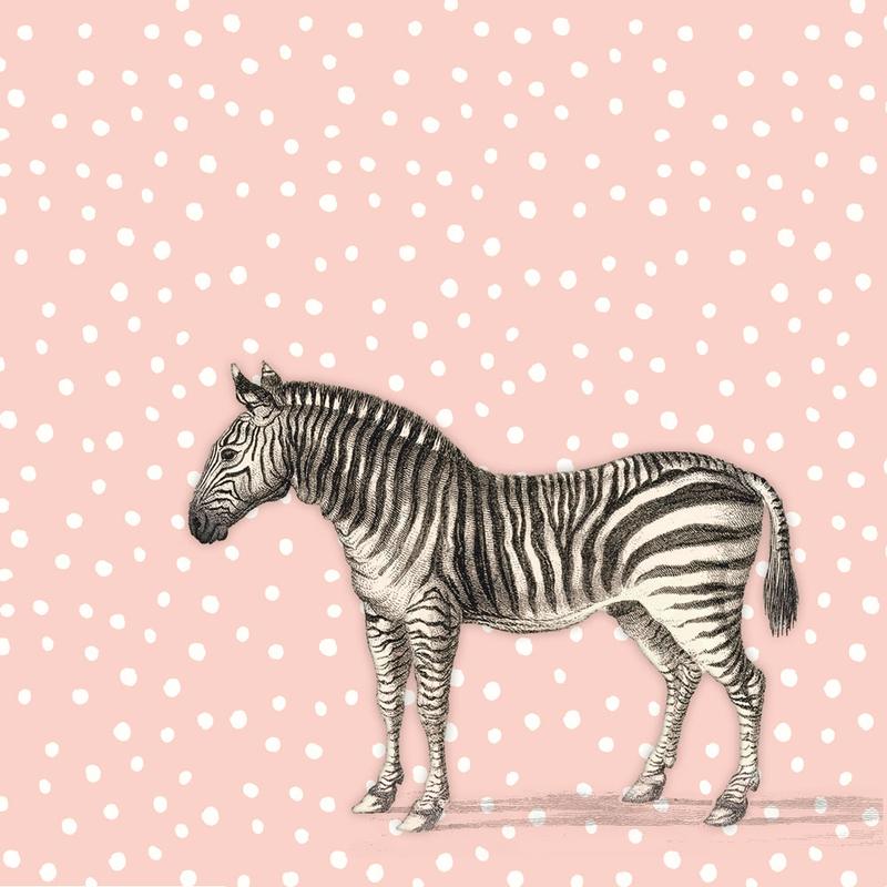Bamboo with pink spots and black and white zebra printed on 