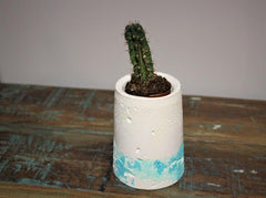 Planter Concrete & Watercolour by Ceramic Artist Ruth Power - HomeStreetHome.ie