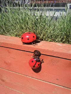Ladybird Recycled Metal two outside in garden
