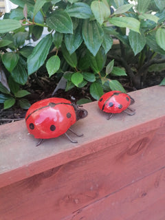 Ladybird Recycled Metal large and small together 