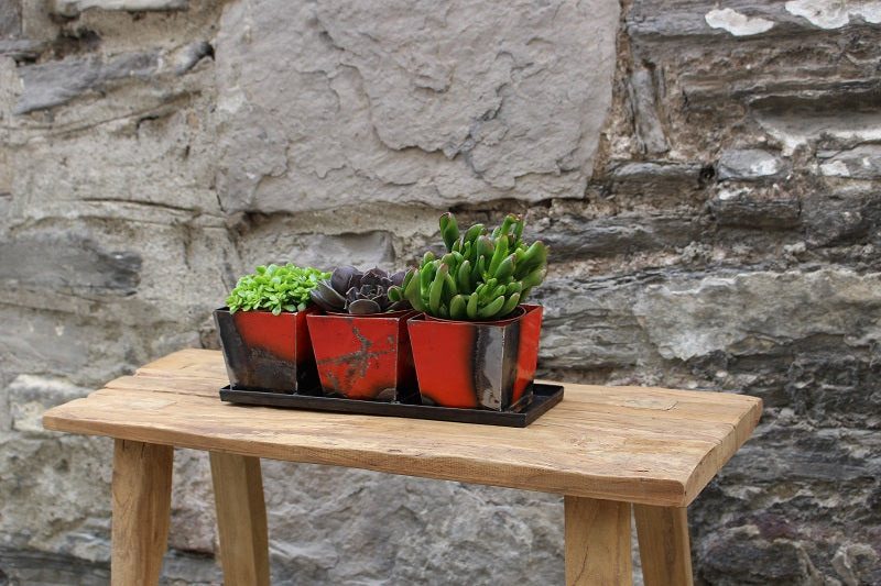 Set of 3 Planters with Tray