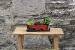 Set of 3 Planters with Tray