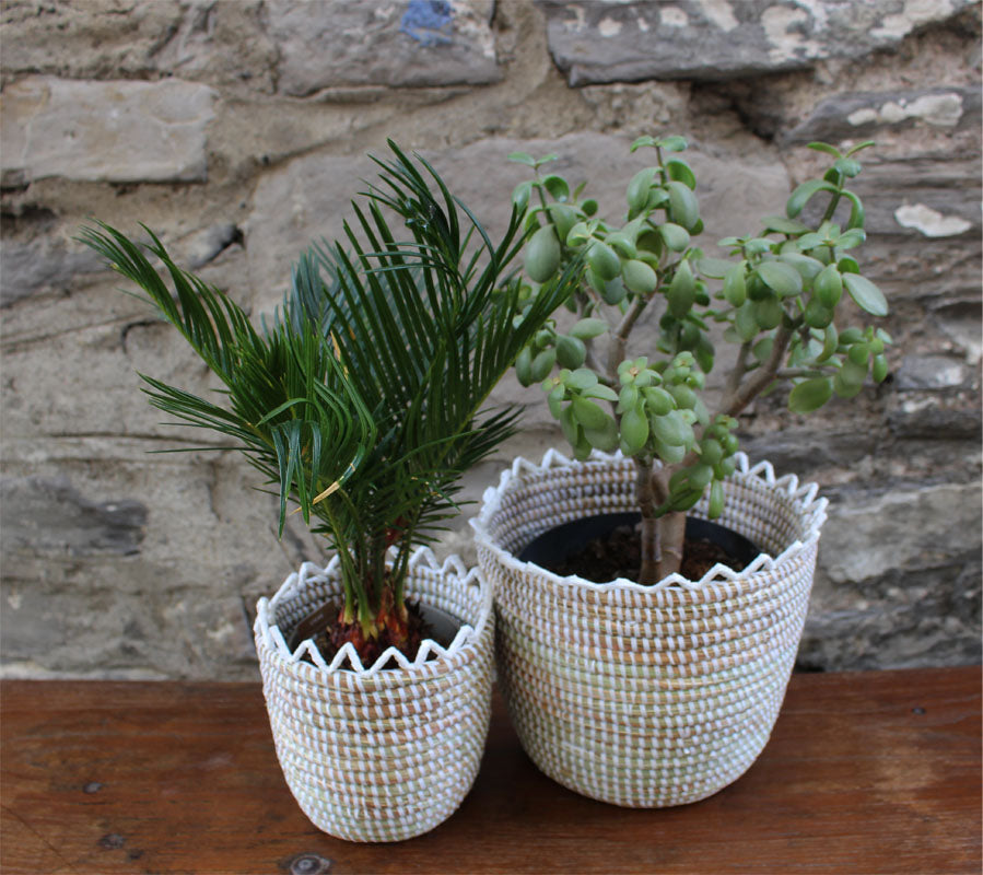 zigzag pattern white basket made out of recycled plastic and straw planter